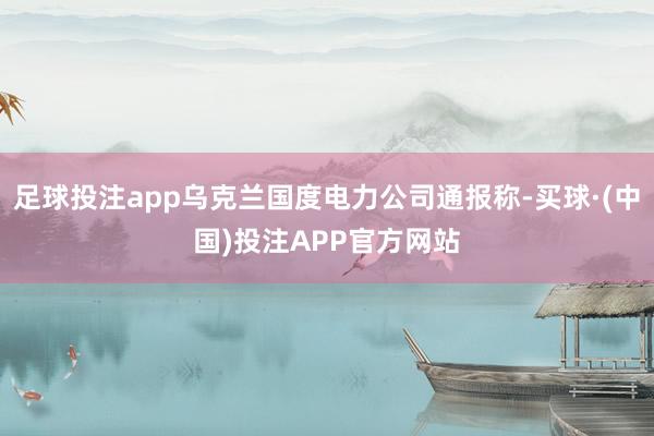 足球投注app乌克兰国度电力公司通报称-买球·(中国)投注APP官方网站