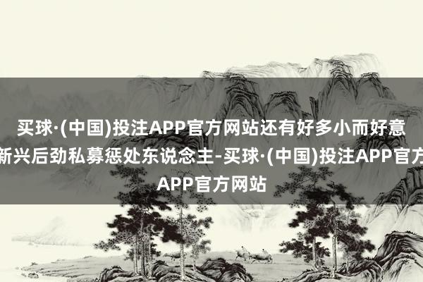 买球·(中国)投注APP官方网站还有好多小而好意思的新兴后劲私募惩处东说念主-买球·(中国)投注APP官方网站