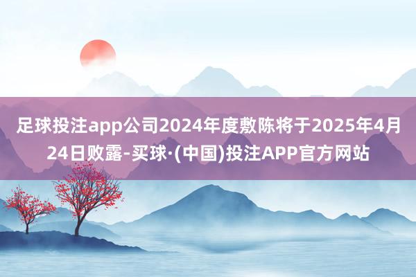 足球投注app公司2024年度敷陈将于2025年4月24日败露-买球·(中国)投注APP官方网站