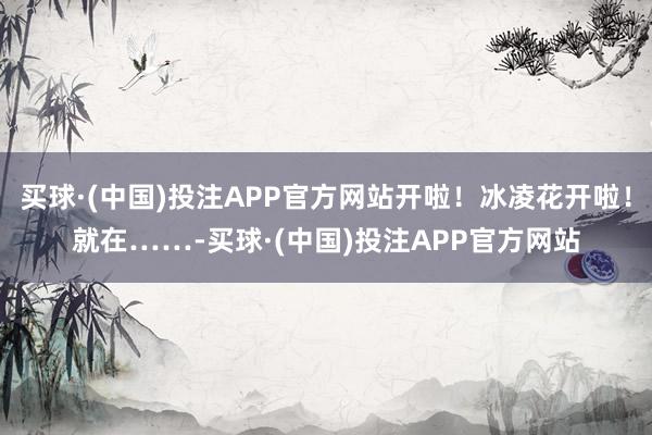 买球·(中国)投注APP官方网站开啦！冰凌花开啦！就在……-买球·(中国)投注APP官方网站