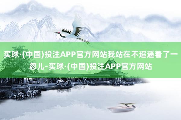 买球·(中国)投注APP官方网站我站在不迢遥看了一忽儿-买球·(中国)投注APP官方网站