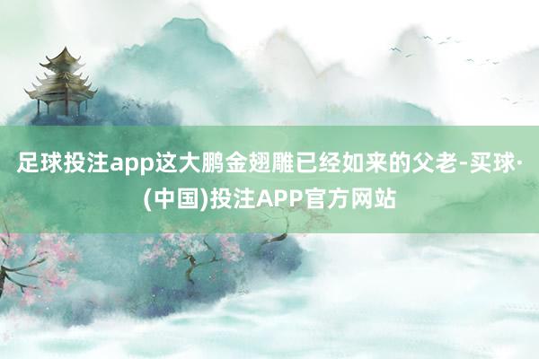 足球投注app这大鹏金翅雕已经如来的父老-买球·(中国)投注APP官方网站