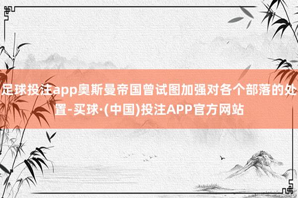 足球投注app奥斯曼帝国曾试图加强对各个部落的处置-买球·(中国)投注APP官方网站