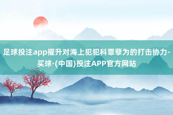足球投注app擢升对海上犯犯科罪孽为的打击协力-买球·(中国)投注APP官方网站