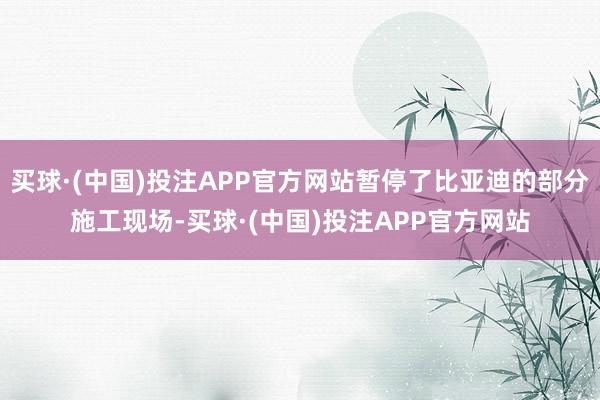 买球·(中国)投注APP官方网站暂停了比亚迪的部分施工现场-买球·(中国)投注APP官方网站