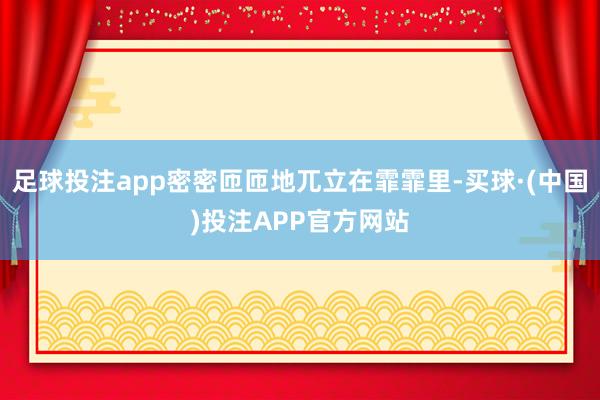 足球投注app密密匝匝地兀立在霏霏里-买球·(中国)投注APP官方网站