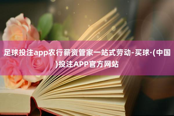 足球投注app农行薪资管家一站式劳动-买球·(中国)投注APP官方网站