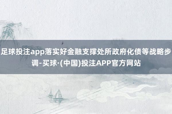 足球投注app落实好金融支撑处所政府化债等战略步调-买球·(中国)投注APP官方网站
