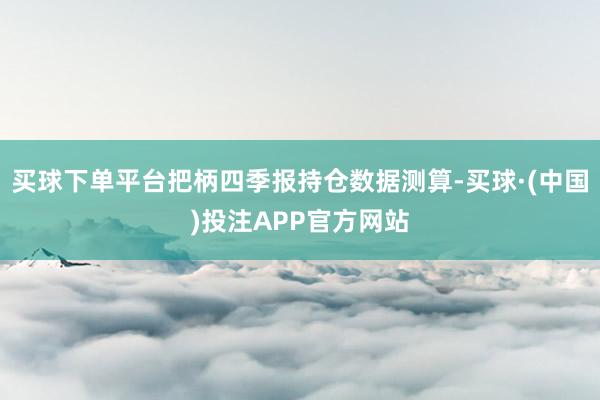 买球下单平台把柄四季报持仓数据测算-买球·(中国)投注APP官方网站
