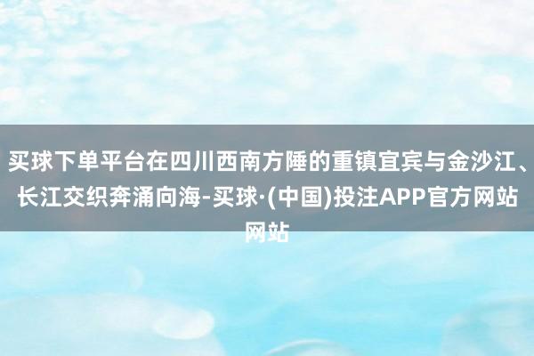 买球下单平台在四川西南方陲的重镇宜宾与金沙江、长江交织奔涌向海-买球·(中国)投注APP官方网站