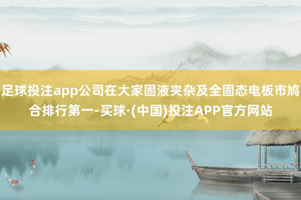 足球投注app公司在大家固液夹杂及全固态电板市鸠合排行第一-买球·(中国)投注APP官方网站
