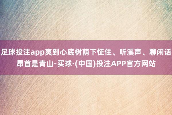 足球投注app爽到心底树荫下怔住、听溪声、聊闲话昂首是青山-买球·(中国)投注APP官方网站