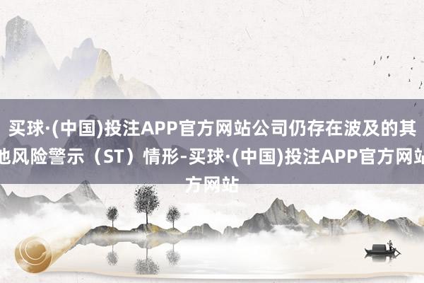 买球·(中国)投注APP官方网站公司仍存在波及的其他风险警示（ST）情形-买球·(中国)投注APP官方网站