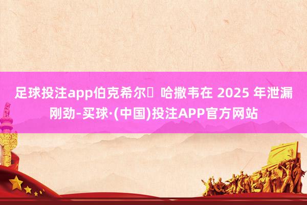 足球投注app　　伯克希尔・哈撒韦在 2025 年泄漏刚劲-买球·(中国)投注APP官方网站
