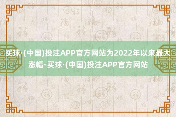 买球·(中国)投注APP官方网站为2022年以来最大涨幅-买球·(中国)投注APP官方网站