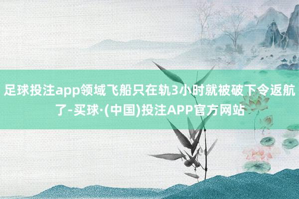 足球投注app领域飞船只在轨3小时就被破下令返航了-买球·(中国)投注APP官方网站
