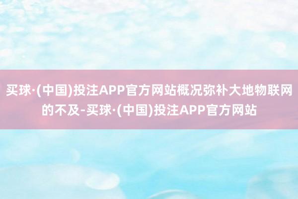 买球·(中国)投注APP官方网站概况弥补大地物联网的不及-买球·(中国)投注APP官方网站